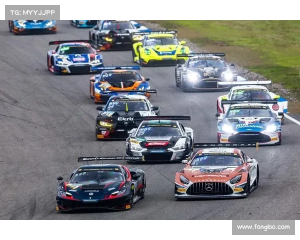 gt赛事世界冠军-gt汽车比赛