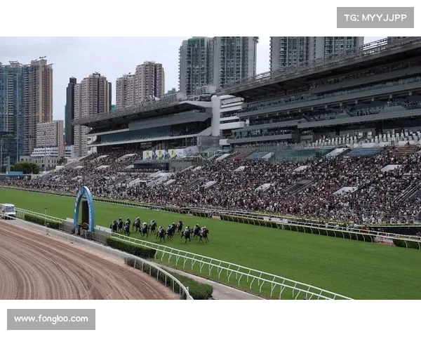 今天香港赛马直播