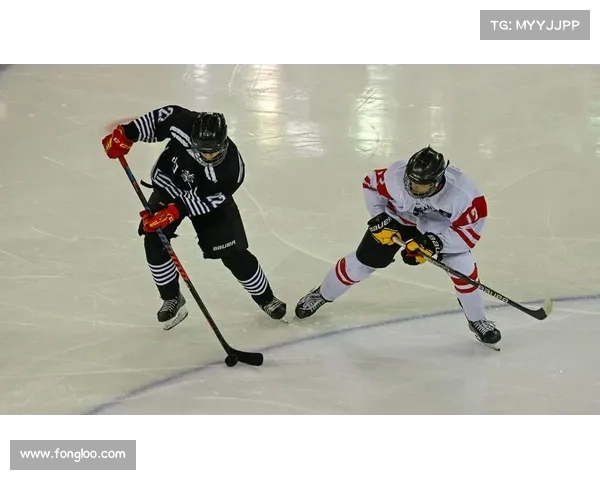 冰球赛场上惊心动魄的突发冲突事件全程深度解析与回顾